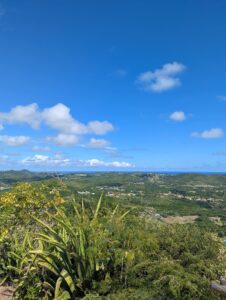 Verdure paysage soleil
